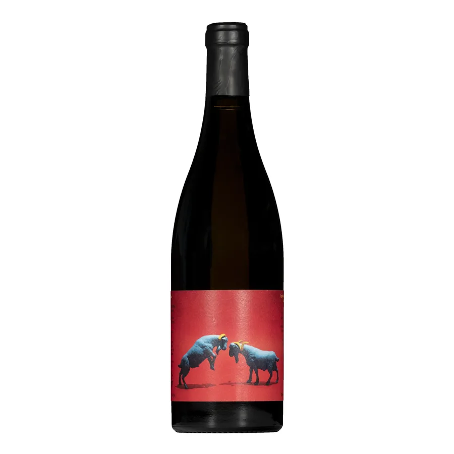 Porfía Tinto · Agrícola Calcárea · Vi Negre · 100% Tintilla de Rota