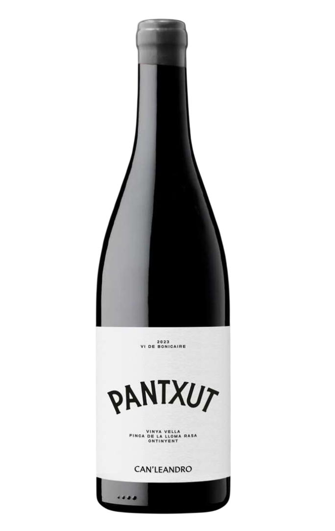 Panxut 2024 — Can Leandro — vi mínima intervenció negre mediterrani