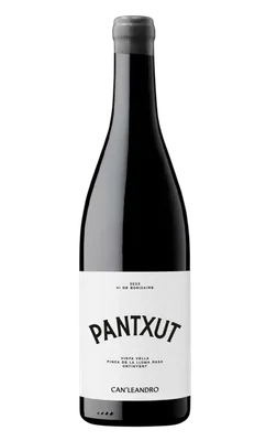 Panxut 2024 — Can Leandro — vi mínima intervenció negre mediterrani