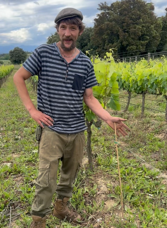 Celler de Madremanya – Nil Roca Pineda