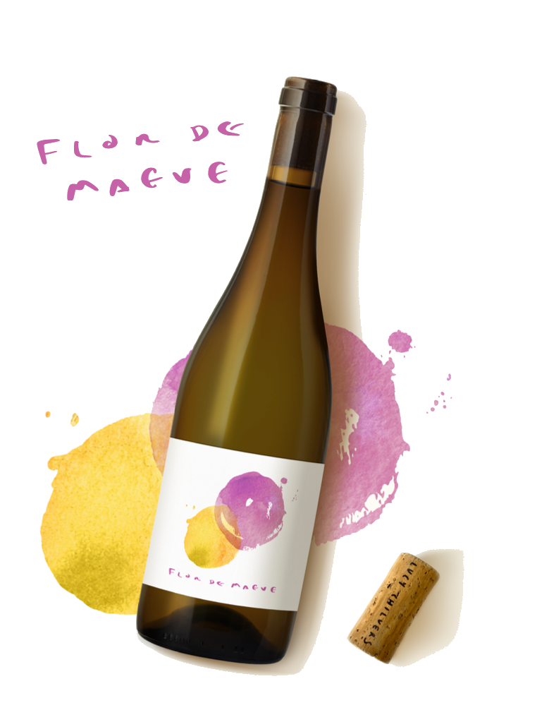 Flor De Maeve