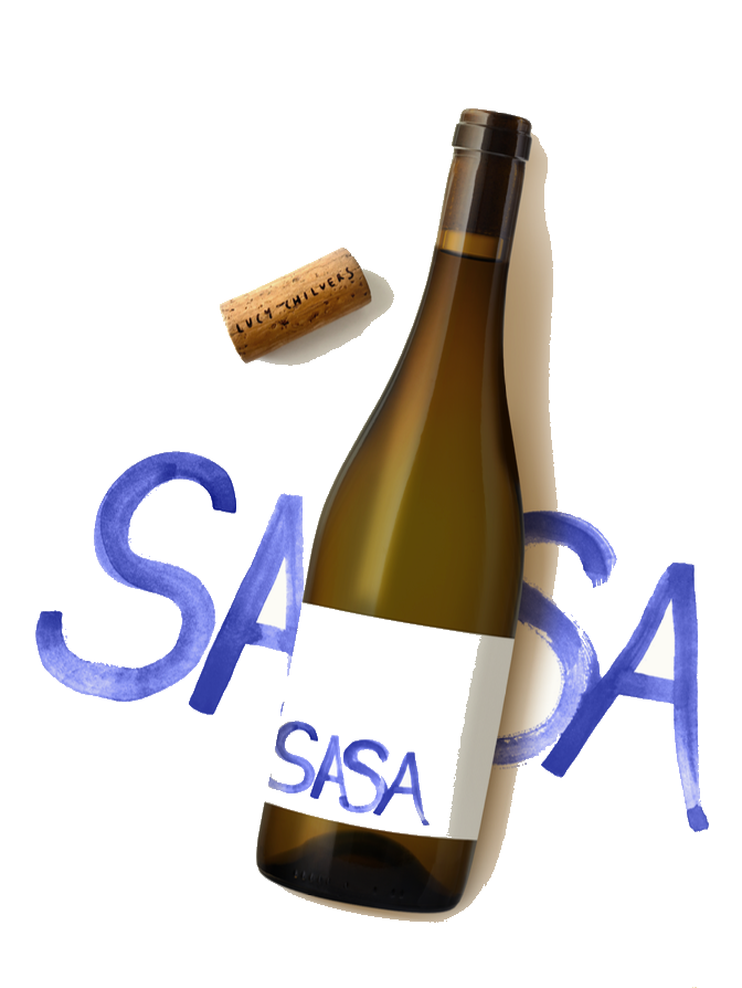 Sasa
