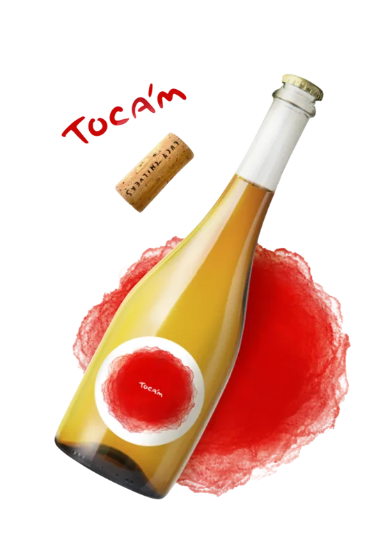 Toca'M