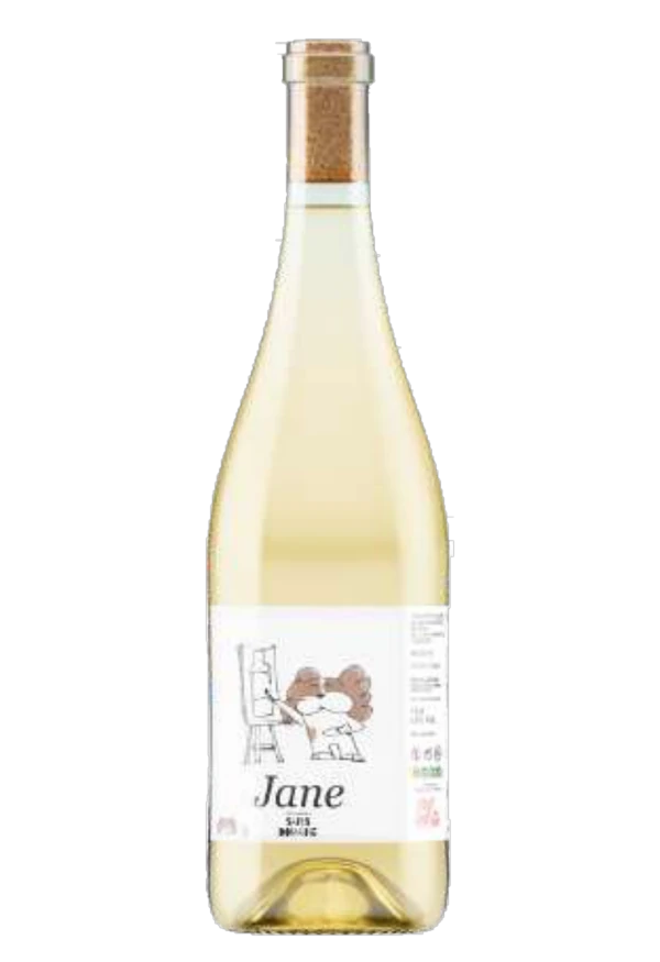 Jane 2025 — Sans Domaine