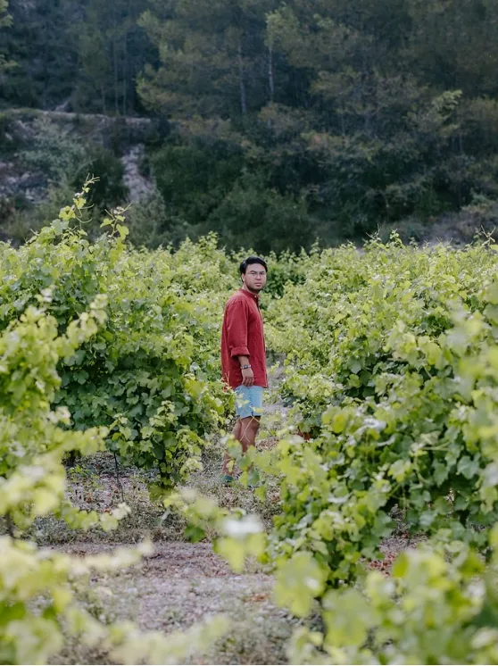 Sk Viticultores — celler de vins naturals
