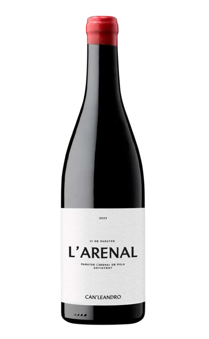arenal.webp L'Arenal 2024 - Imagen 1