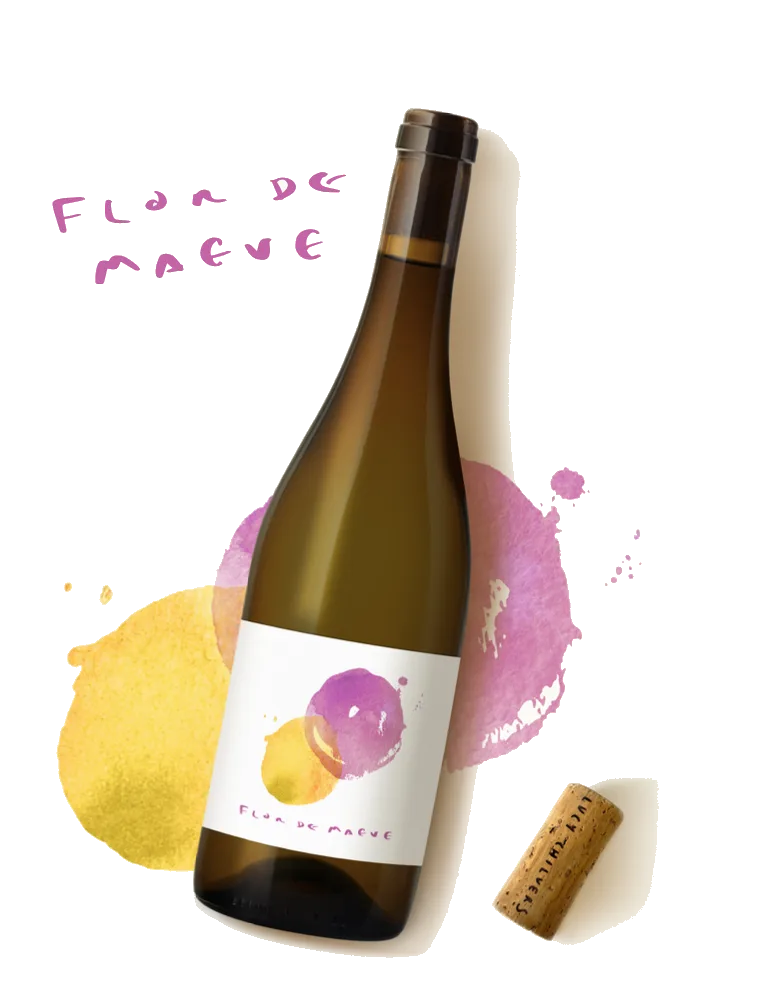 flor-de-maeve-2023.webp Flor De Maeve 2023 - Imagen 1