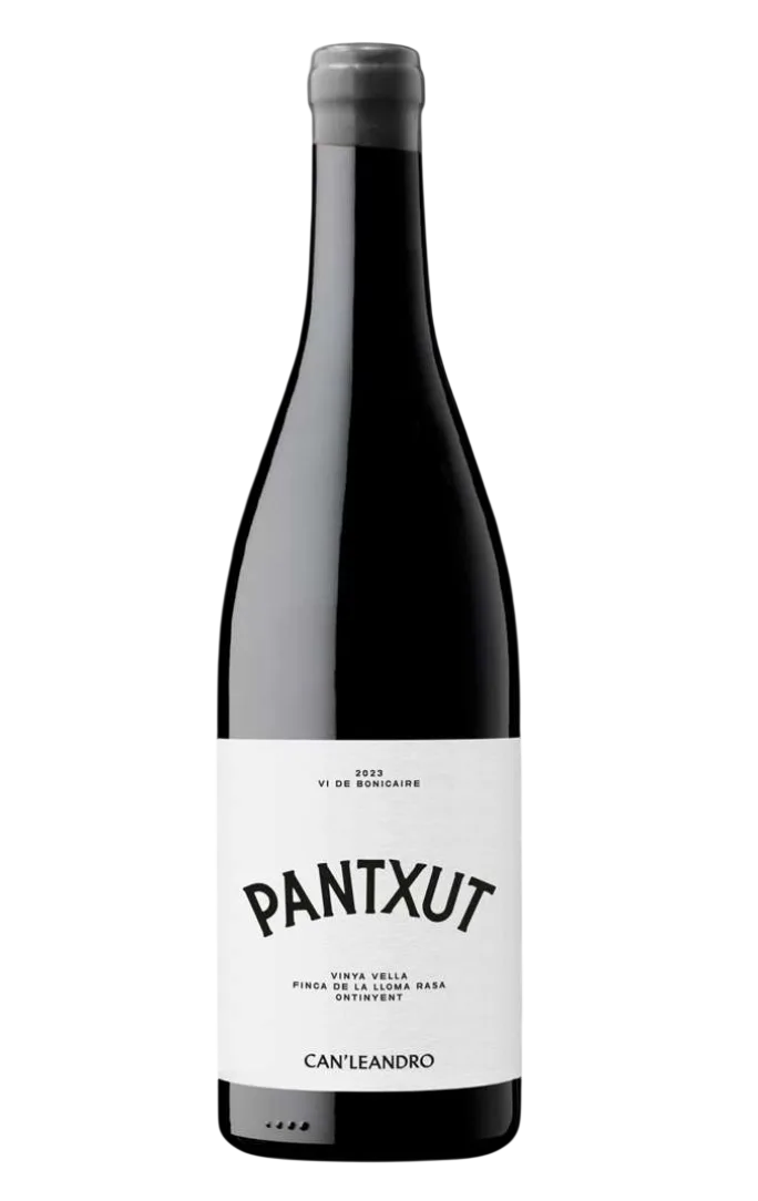 panxut.webp Panxut 2024 - Imagen 1