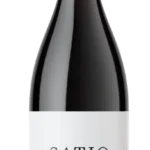 Satio 2024