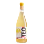 Teo Sofre 2023
