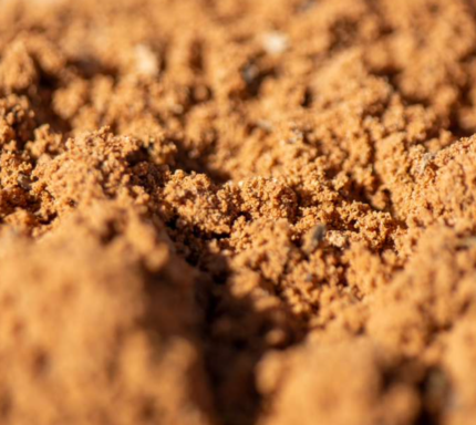 Argila NUS Terroir Radical