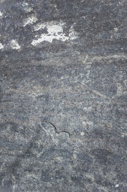 granit nus terroir radical