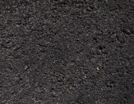 NUS Pissarra Terroir Radical