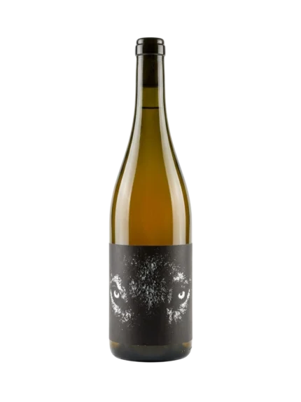 Alfa 2024 · Tren de Vida Wines