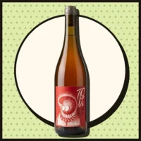 Vino to-vi-or-not-to-bi-vital - Terroir Radical